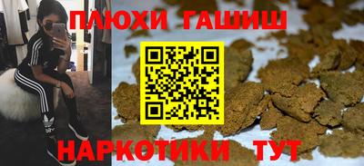 гидра Свободный