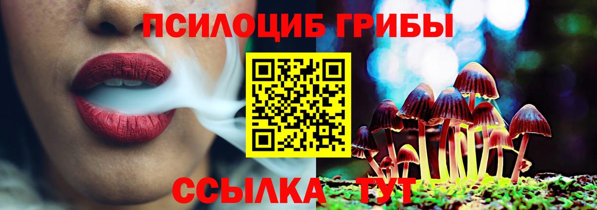 Осинники  Псилоцибиновые грибы прущие грибы  Вход с VPN  Псилоцибиновые грибы GOLDEN TEACHER 