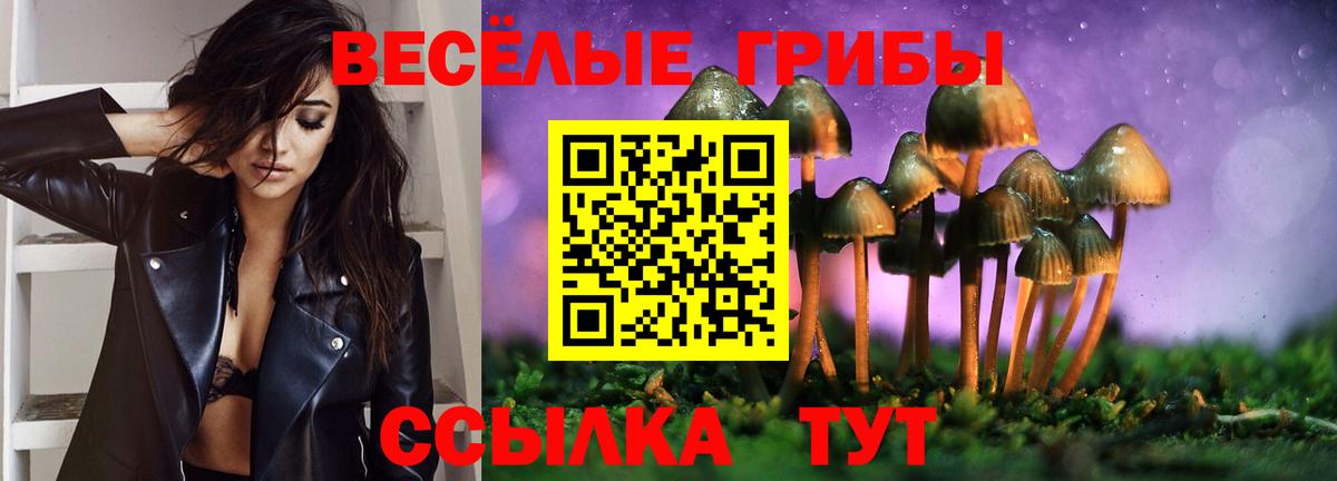 Псилоцибиновые грибы мухоморы Осинники